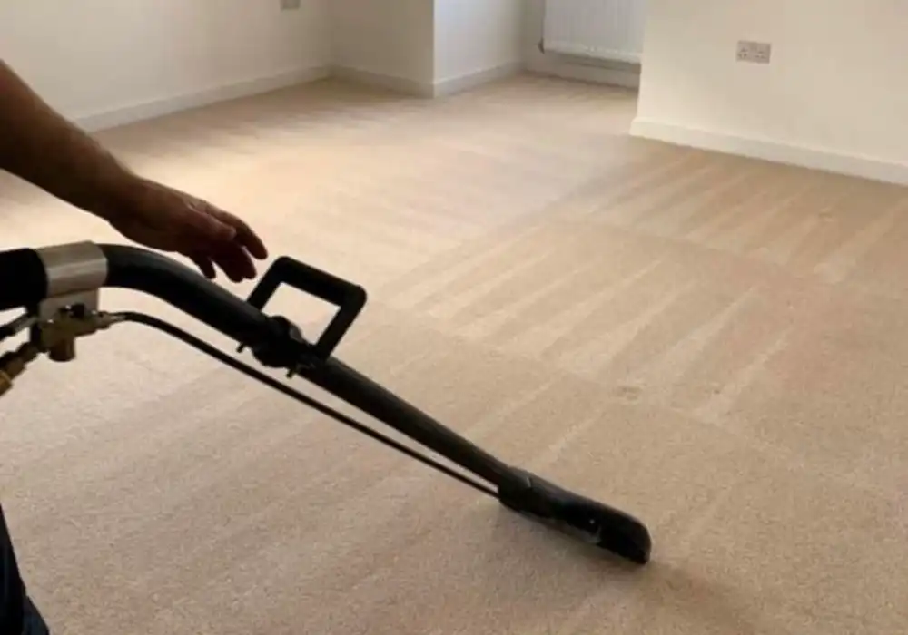 Carpet Cleaning Service in Swansea