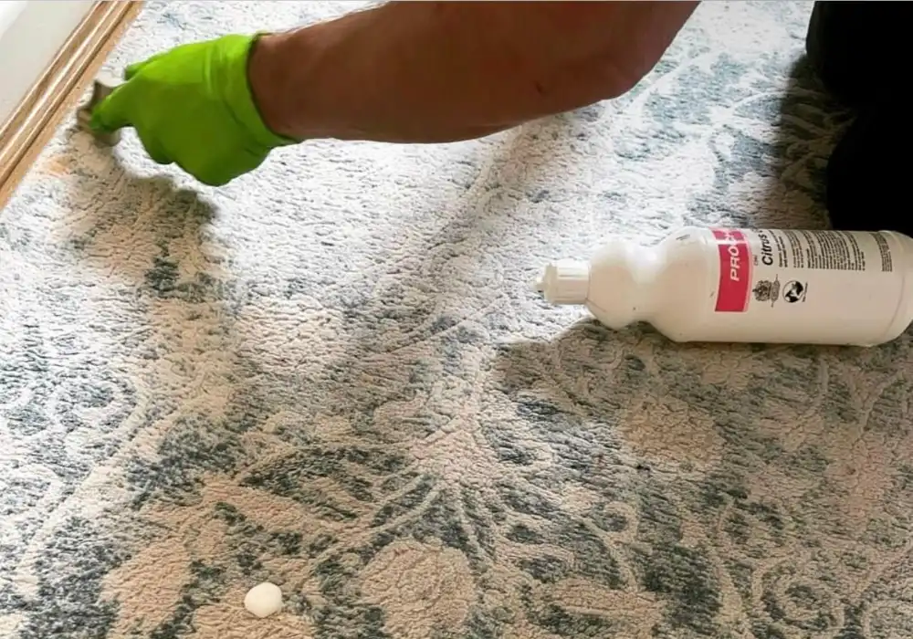 Carpet Spot Treatment